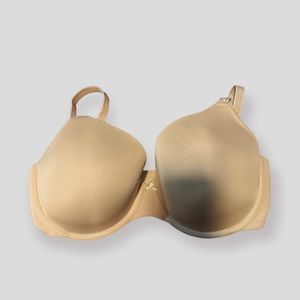 Cacique T Shirt Bra 36F